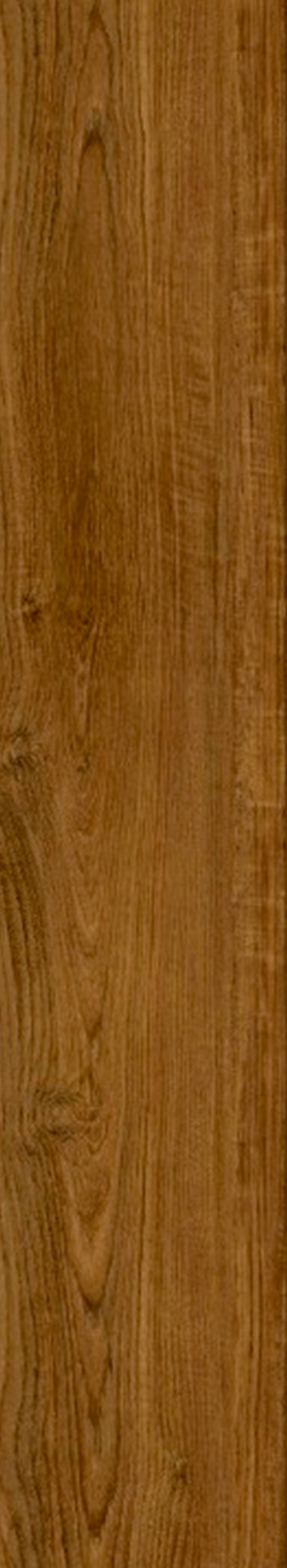 GOLDEN TEAK