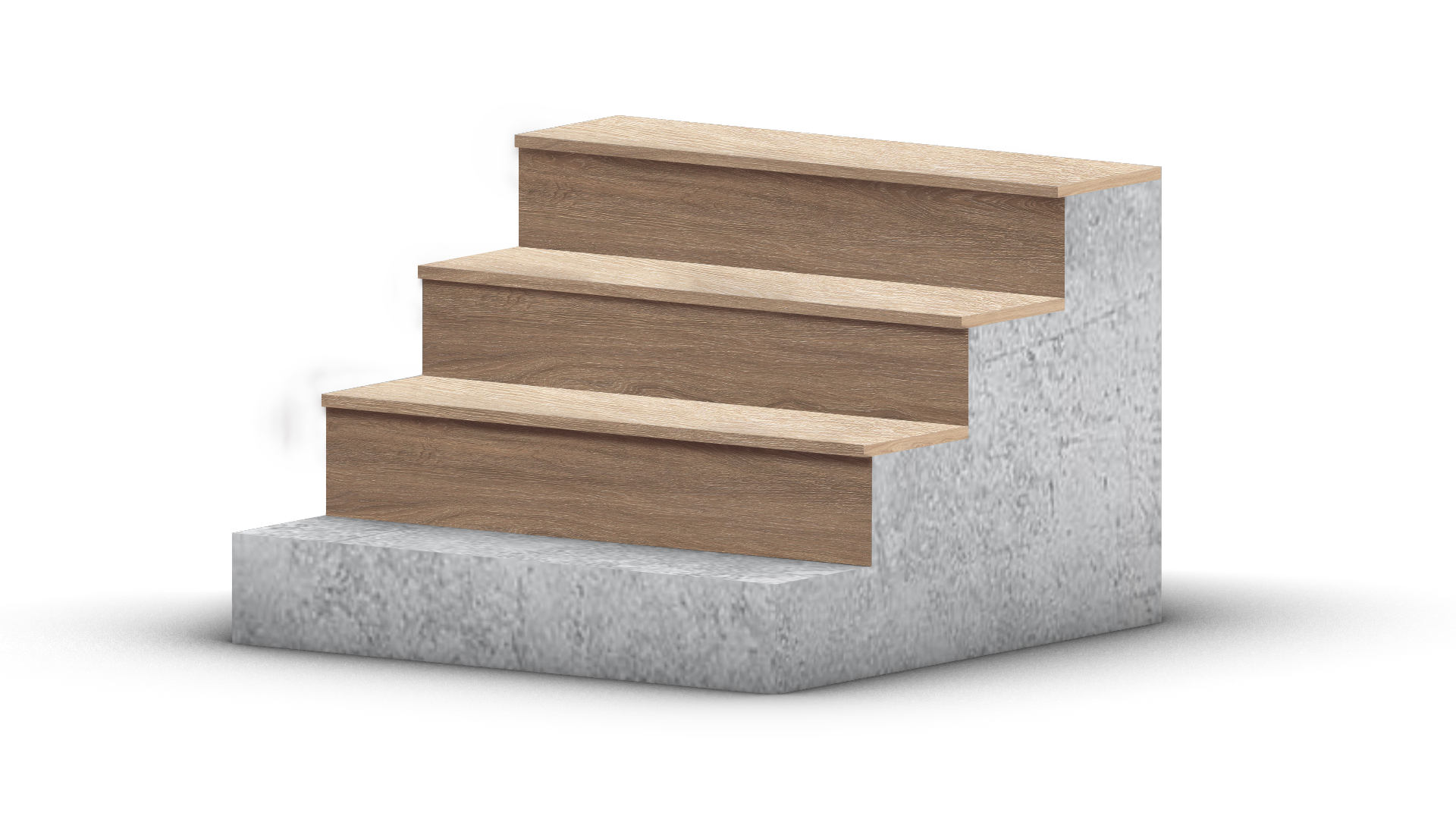 CANARY OAK